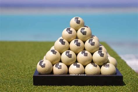 Here's the prize money payout for each golfer at the .